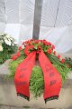 Antikriegstag2011   086